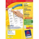 avery-l7160-100-addressing-label-1.jpg